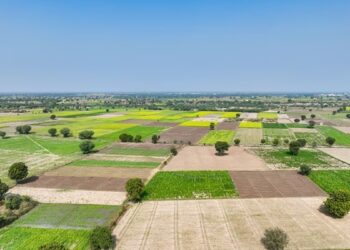 बिहार में 1 रुपये में मिलेगी जमीन, बस पूरी करनी होगी ये शर्त
