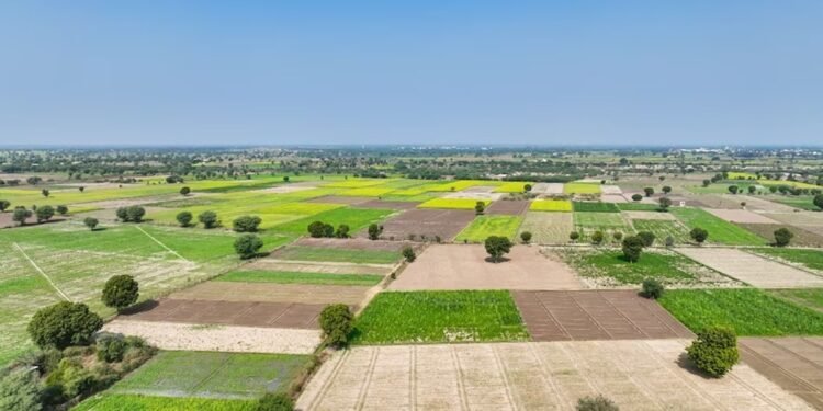बिहार में 1 रुपये में मिलेगी जमीन, बस पूरी करनी होगी ये शर्त