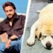 मालिक को बचाने के लिए जहरीले Cobra से भिड़ गई पालतू डॉग जिम्मी, 8 मिनट में तोड़ा दम, CCTV में कैद बहादुरी