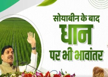 अब धान की फसल पर भी मिलेगा भावांतर योजना का लाभ, MP के किसानों को बड़ी सौगात
