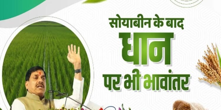 अब धान की फसल पर भी मिलेगा भावांतर योजना का लाभ, MP के किसानों को बड़ी सौगात