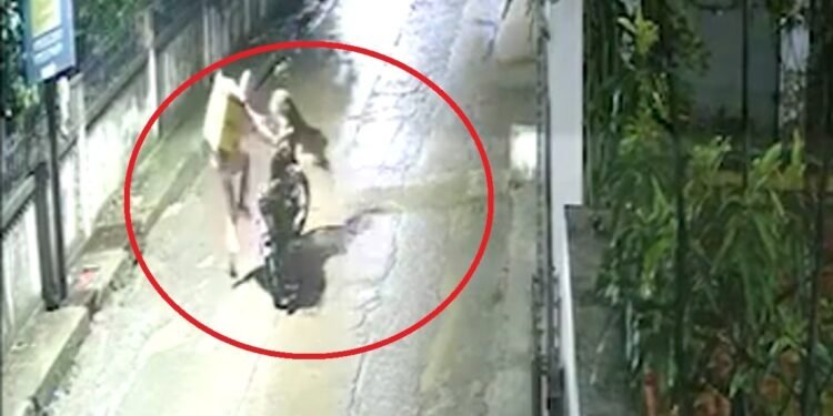 संकरी गली में सामने से आ झपटा तेंदुआ… डिलीवरी बॉय ने पटकी बाइक और लगा दी दौड़… हमले का Shocking Video