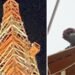 3 दिन तक मोबाइल टावर पर बैठा रहा शख्स… नीचे बिछाए गए जाल और गद्दे, सांसें थामे खड़ी रही पुलिस