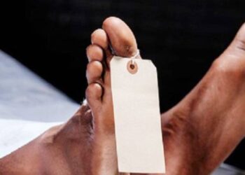चारपाई पर सो रही बूढ़ी मां पर बरसाए डंडे…बेटे ने 70 साल की बुजुर्ग को दे दी दर्दनाक मौत