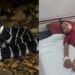 गर्ल्स हॉस्टल में घुसा जहरीला सांप, पलंग पर सो रही 4 लड़कियों को काटा,1 की मौत