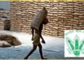 ₹1160 करोड़ के चावल गबन का दावा पूरी तरह भ्रामक! FCI ने आंकड़ों के साथ किया खंडन, बताया क्या है घोटाले का सच