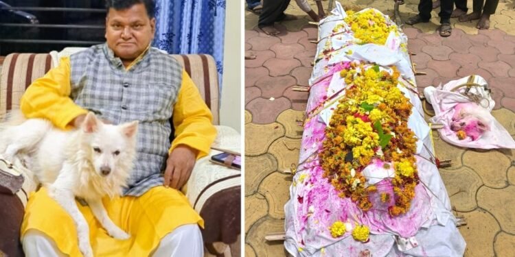 मालिक के बिछड़ते ही पालतू डॉगी ने भी छोड़ी दुनिया, साथ हुआ अंतिम संस्कार… अटूट रिश्ते की एक भावुक तस्वीर