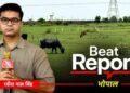 Beat Report: कागजों पर चल रहे B.Ed कॉलेज, मौके पर चर रही भैंसें, MP में शिक्षा व्यवस्था का सबसे बड़ा ‘खेला’