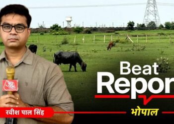 Beat Report: कागजों पर चल रहे B.Ed कॉलेज, मौके पर चर रही भैंसें, MP में शिक्षा व्यवस्था का सबसे बड़ा ‘खेला’