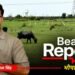 Beat Report: कागजों पर चल रहे B.Ed कॉलेज, मौके पर चर रही भैंसें, MP में शिक्षा व्यवस्था का सबसे बड़ा ‘खेला’