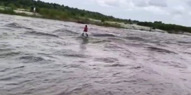 उफनती नदी, कंधे पर बेटा…पढ़ाई के लिए मौत से लड़ गया पिता, वायरल VIDEO