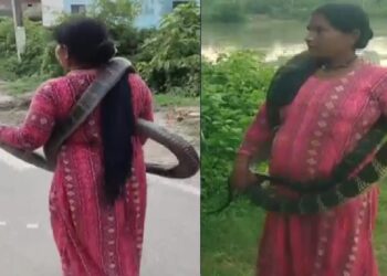 बिहार की ‘स्नेक लेडी’…10 फीट के कोबरा सांप को गले में लपेटकर निकल पड़ी महिला, Video