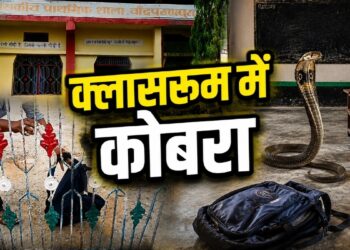Snake in School Bag: फुफकारती हुई निकली नागिन! बस्ते की चेन खोलते ही सहम गए बच्चे, क्लासरूम में मचा हड़कंप