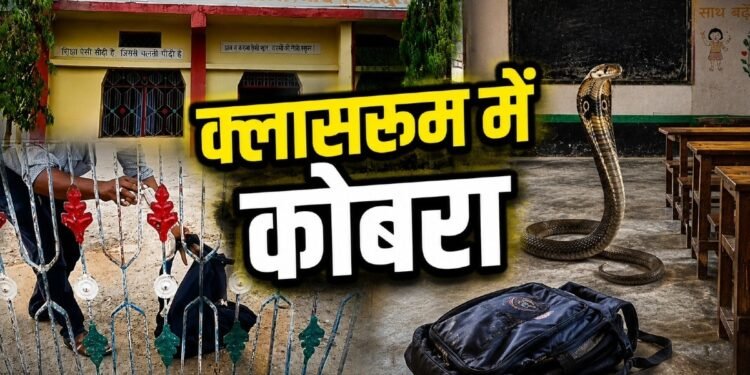 Snake in School Bag: फुफकारती हुई निकली नागिन! बस्ते की चेन खोलते ही सहम गए बच्चे, क्लासरूम में मचा हड़कंप