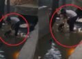 वसंत कुंज हादसे का भयावह VIDEO: नाले में डूबी कार से ऐसे बचाई गई युवती, दोस्त की मौत