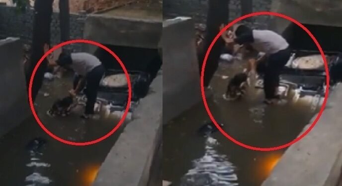 वसंत कुंज हादसे का भयावह VIDEO: नाले में डूबी कार से ऐसे बचाई गई युवती, दोस्त की मौत