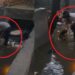 वसंत कुंज हादसे का भयावह VIDEO: नाले में डूबी कार से ऐसे बचाई गई युवती, दोस्त की मौत