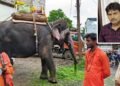 गुड़ खिला रहे ऑटो ड्राइवर को हाथी ने सूंड में पलेटा, दो बार पैरों से कुचला; मौत