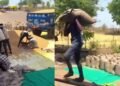 पड़ोसी राज्यों से सस्ता गेहूं खरीदकर MP में बेचा… MSP पर रिकॉर्ड तोड़ खरीदी का ‘काला सच’, करोड़ों का फर्जीवाड़ा उजागर