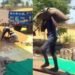 पड़ोसी राज्यों से सस्ता गेहूं खरीदकर MP में बेचा… MSP पर रिकॉर्ड तोड़ खरीदी का ‘काला सच’, करोड़ों का फर्जीवाड़ा उजागर