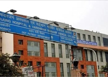 सीने की हड्डी काटे बिना बदल दिया दिल का वॉल्व! सफदरजंग के डॉक्टरों ने रचा इतिहास, बना वर्ल्ड रिकॉर्ड