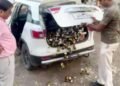 जैसे ही कार की खोली डिक्की, भरभराकर सड़क पर गिरने लगीं शराब की बोतलें… पटना में होनी थी डिलीवरी, दबोचा गया ‘काजू’