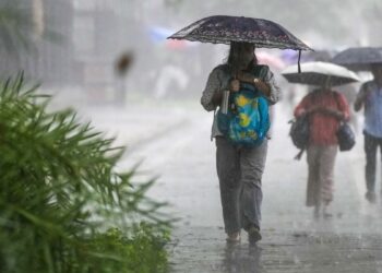 MP Weather 12 August: पश्चिमी मध्य प्रदेश में बारिश का जोर बरकरार, इन जिलों में भारी से अति भारी वर्षा की चेतावनी