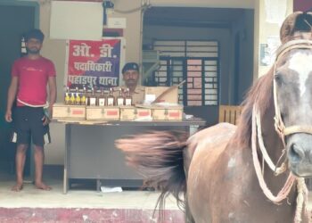 घोड़ा निकला शराब तस्कर! 200 बोतल विदेशी शराब के साथ पुलिस ने किया गिरफ्तार