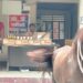 घोड़ा निकला शराब तस्कर! 200 बोतल विदेशी शराब के साथ पुलिस ने किया गिरफ्तार
