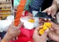 लड्डू तोड़ते ही निकले कीड़े… इंदौर के स्कूल में 15 अगस्त पर बच्चों की जान से खिलवाड़, 2 की बिगड़ी तबीयत
