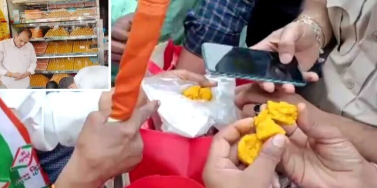 लड्डू तोड़ते ही निकले कीड़े… इंदौर के स्कूल में 15 अगस्त पर बच्चों की जान से खिलवाड़, 2 की बिगड़ी तबीयत