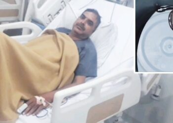 बिस्तर में छिपी थी मौत… पुलिस हेड कांस्टेबल को सांप ने 2 बार डंसा, AI की मदद से बची जान