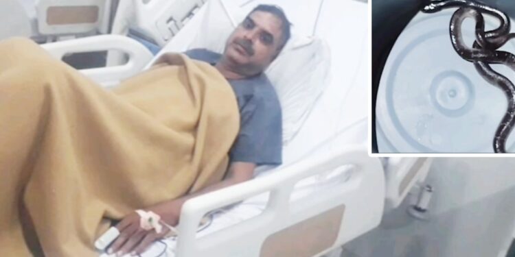 बिस्तर में छिपी थी मौत… पुलिस हेड कांस्टेबल को सांप ने 2 बार डंसा, AI की मदद से बची जान