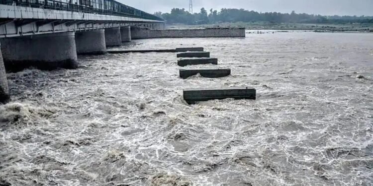उफनती चंबल नदी के बीच खत्म हुआ डीजल, 40 यात्रियों से भरा स्टीमर फंसा, थमीं सांसें