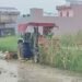 खेतों में 3 फीट पानी, सड़ गई बाजरे की फसल… रेवाड़ी में किसान खड़ी फसल पर चला रहे ट्रैक्टर