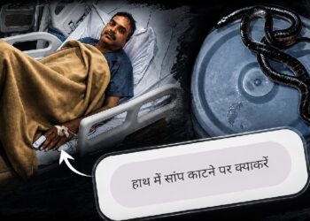 ‘मरीज को हिलने-डुलने न दें, सांप की फोटो खींचें…’, AI की इस एक सलाह से बची हेड कांस्टेबल की जान, SSP भी पहुंचे हाल जानने