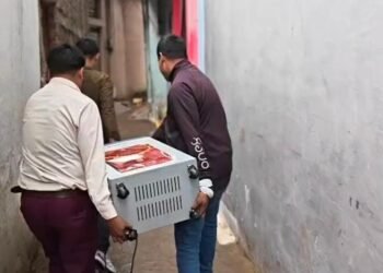 सागर: बंदूक ढूंढने गई पुलिस को घर में मिला ‘नोटों का पहाड़’, गिनने के लिए मंगानी पड़ गई मशीन- VIDEO