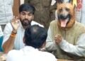 ‘नसबंदी के बाद भी हो गए 6 बच्चे, आपने 40 लाख का बजट कहां खर्च किया?’ अफसरों से ‘डॉगी’ की अनोखी शिकायत