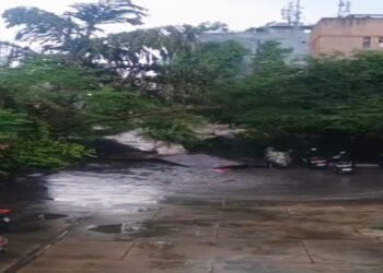 छुट्टी से ठीक पहले भरभराकर गिरी दीवार, स्कूल में घुसा गंदा पानी, बाल-बाल बचे बच्चे, वीडियो वायरल