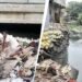 दिल्ली में नाले में गिरे बेटे को खोजता रहा पिता, 4 दिन बाद मिला शव