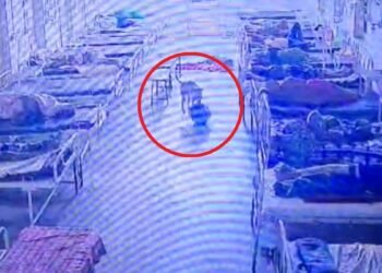 4 लाख का बैग मुंह में दबाकर ले गया कुत्ता! मंदसौर के अस्पताल में आधी रात को ‘चोरी’, CCTV ने खोले राज