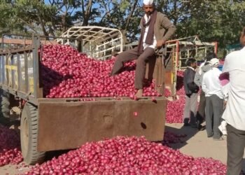 35 रुपये किलो मिलेगा प्याज, 40 लोकेशन पर मोबाइल वैन… दिल्ली पहुंची ‘कांदा एक्सप्रेस’