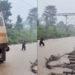 आगे लाल झंडी लेकर चलता रहा रेलकर्मी, पीछे पानी चीरती चलती रही ट्रेन… पटरियों पर चढ़ा 3 फीट पानी