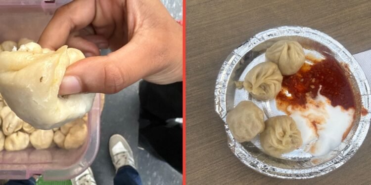 इंदौर के रेस्टोरेंट में मोमोज के अंदर रेंगते मिले कीड़े, भड़के ग्राहक