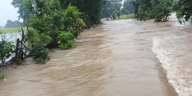पन्ना में बारिश का तांडव, नदी-नाले उफनाए… उमरी गांव बन गया टापू, रेस्क्यू के लिए पहुंची टीम