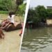 बिहार: 15 साल से बांध का इंतजार, 20 दिन से पानी में डूबा पूरा गांव, हजारों जिंदगियां बेहाल