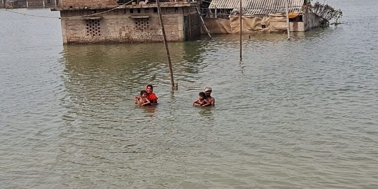 गंगा खतरे के निशान से 9 सेंटीमीटर ऊपर, 6 प्रखंडों के दर्जनों गांव जलमग्न, घरों में 5 फीट तक पानी