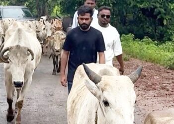 अस्पताल खचाखच, हैंडपंप से आ रहा पीला पानी… 30 बच्चों की मौत के बाद बालाघाट पहुंचे CJP नेता अभिजीत दिपके