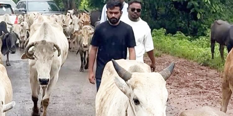 अस्पताल खचाखच, हैंडपंप से आ रहा पीला पानी… 30 बच्चों की मौत के बाद बालाघाट पहुंचे CJP नेता अभिजीत दिपके