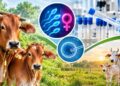 90% बछिया के जन्म की गारंटी! मध्य प्रदेश में हिरण्यगर्भा अभियान से आई क्रांति, गाय नस्ल सुधार पर बड़ा दांव
